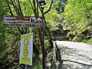 44 Inizio seconda tappa-salita al Santuario della Madonna del Frassino (954 m)
